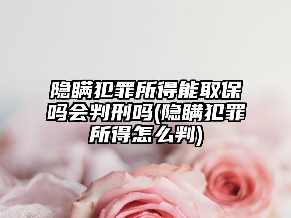 隐瞒犯罪所得能取保吗会判刑吗(隐瞒犯罪所得怎么判)-第1张图片-海印网