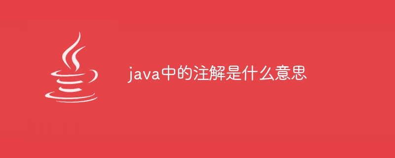 java中的注解是什么意思-第1张图片-海印网