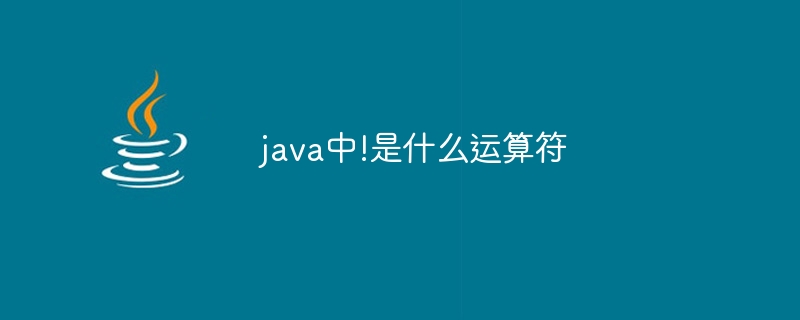 java中!是什么运算符-第1张图片-海印网