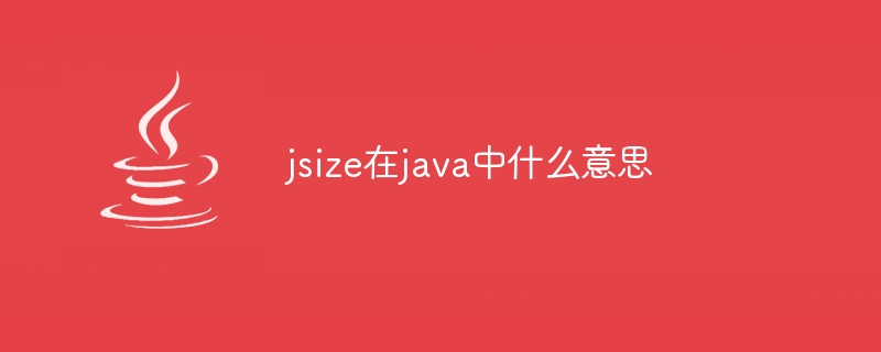 jsize在java中什么意思-第1张图片-海印网