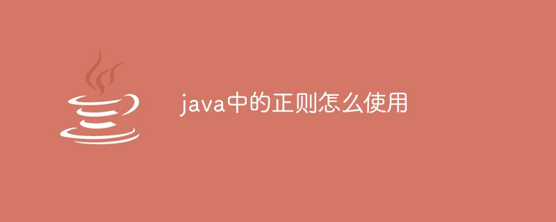 java中的正则怎么使用-第1张图片-海印网