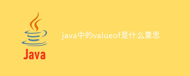 java中的valueof是什么意思-第1张图片-海印网