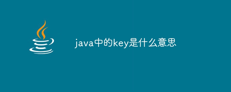 java中的key是什么意思-第1张图片-海印网