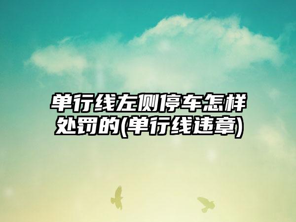 单行线左侧停车怎样处罚的(单行线违章)-第1张图片-海印网