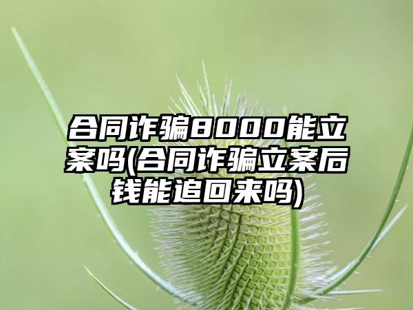 合同诈骗8000能立案吗(合同诈骗立案后钱能追回来吗)