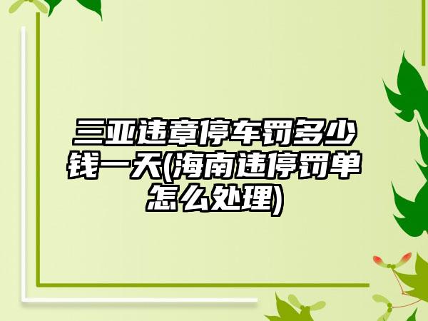 三亚违章停车罚多少钱一天(海南违停罚单怎么处理)