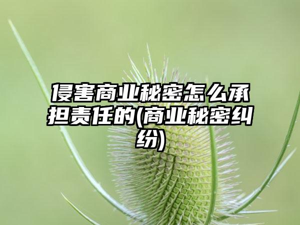 侵害商业秘密怎么承担责任的(商业秘密纠纷)-第1张图片-海印网