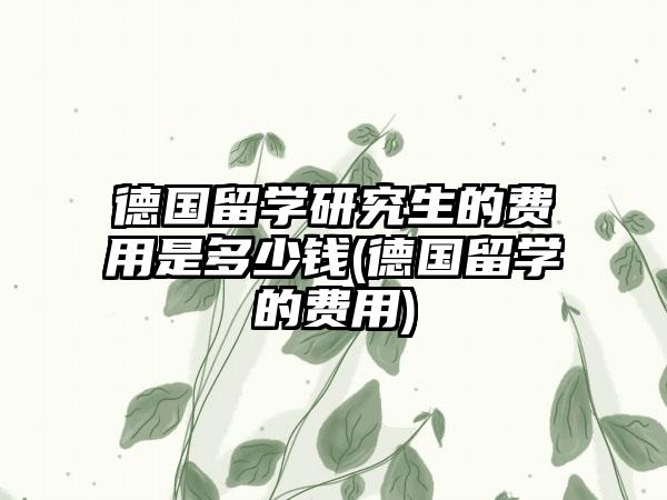 德国留学研究生的费用是多少钱(德国留学的费用)-第1张图片-海印网