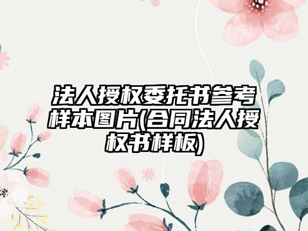 法人授权委托书参考样本图片(合同法人授权书样板)-第1张图片-海印网