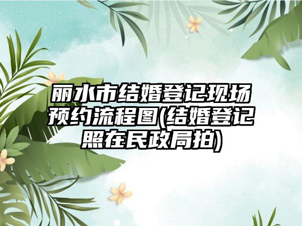 丽水市结婚登记现场预约流程图(结婚登记照在民政局拍)-第1张图片-海印网