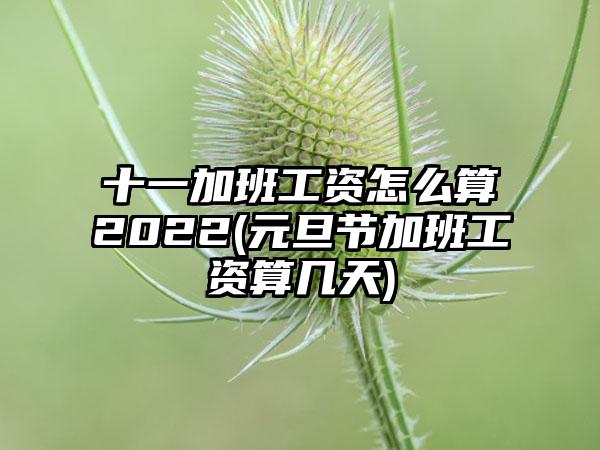 十一加班工资怎么算2022(元旦节加班工资算几天)-第1张图片-海印网