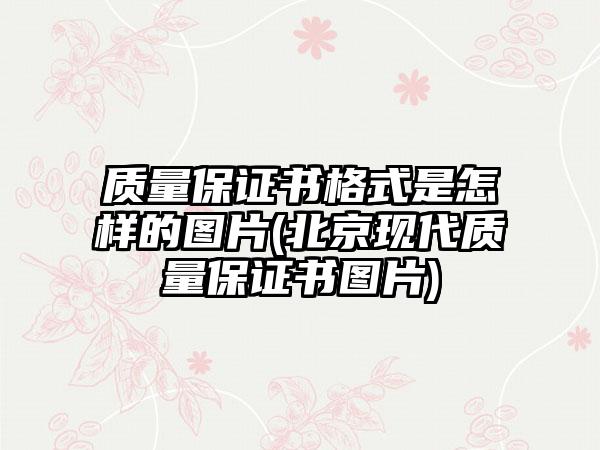 质量保证书格式是怎样的图片(北京现代质量保证书图片)-第1张图片-海印网