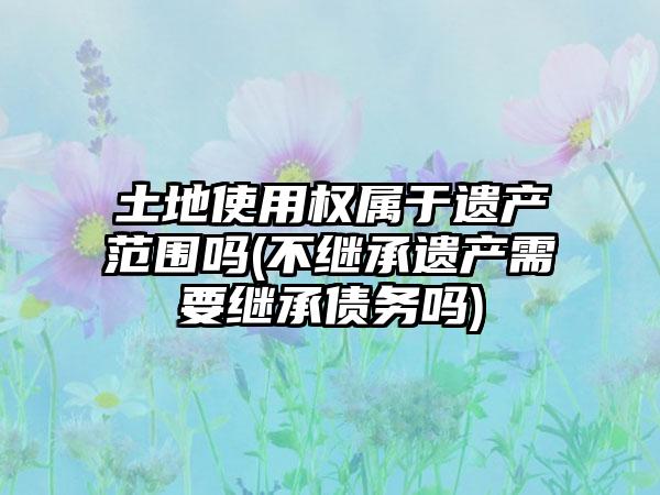 土地使用权属于遗产范围吗(不继承遗产需要继承债务吗)-第1张图片-海印网