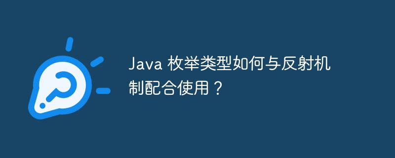 Java 枚举类型如何与反射机制配合使用？-第1张图片-海印网