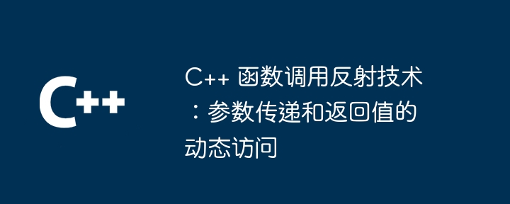 C++ 函数调用反射技术：参数传递和返回值的动态访问-第1张图片-海印网