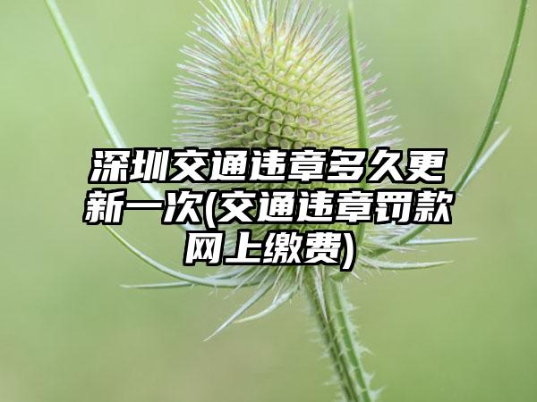 深圳交通违章多久更新一次(交通违章罚款网上缴费)