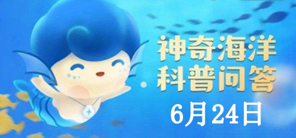 神奇海洋6.24答案：微塑料是—种造成污染的主要载体，其直径小于?-第1张图片-海印网