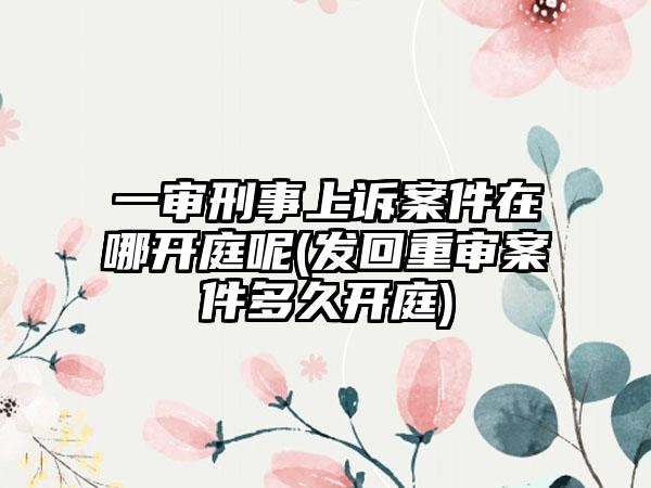 一审刑事上诉案件在哪开庭呢(发回重审案件多久开庭)-第1张图片-海印网