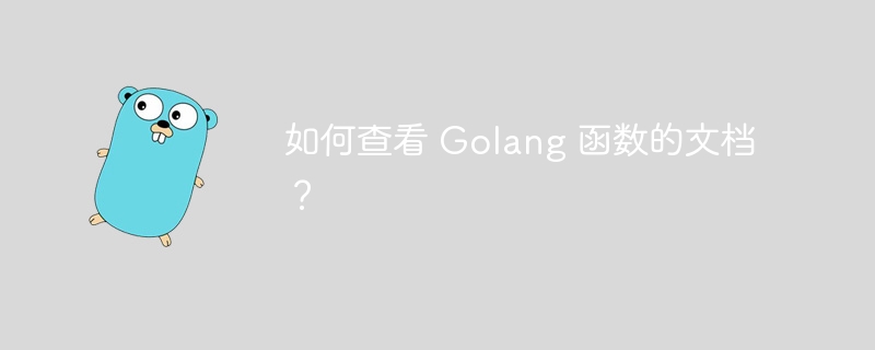 如何查看 Golang 函数的文档？-第1张图片-海印网