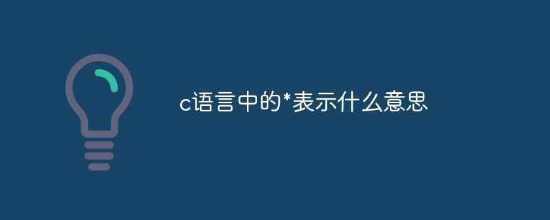 c语言中的*表示什么意思-第1张图片-海印网