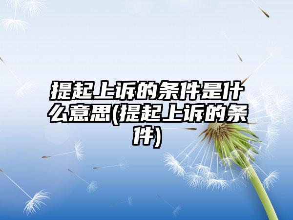 提起上诉的条件是什么意思(提起上诉的条件)-第1张图片-海印网