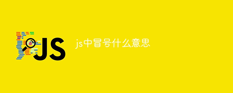 js中冒号什么意思-第1张图片-海印网