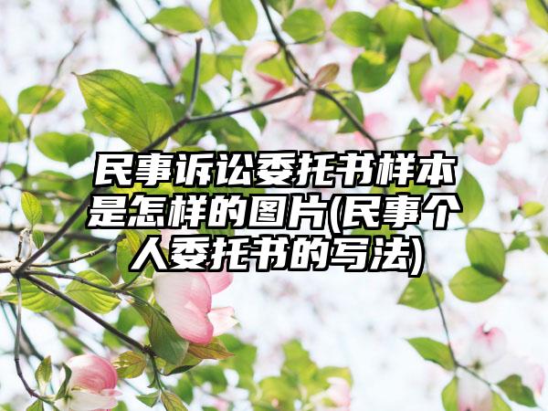 民事诉讼委托书样本是怎样的图片(民事个人委托书的写法)