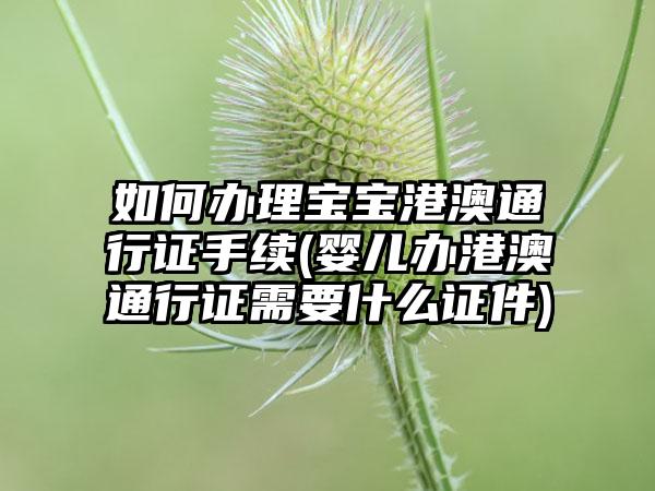 如何办理宝宝港澳通行证手续(婴儿办港澳通行证需要什么证件)-第1张图片-海印网