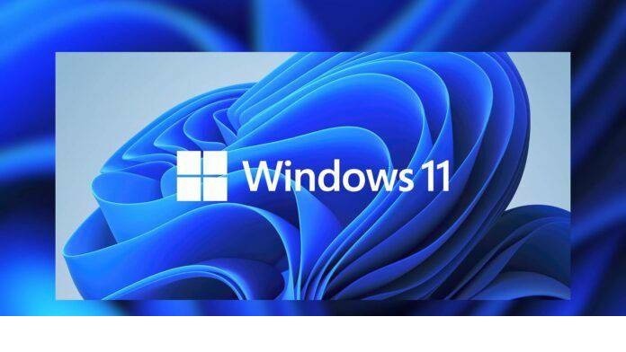 Win11中文怎么设置?微软win11设置中文教程介绍-第1张图片-海印网