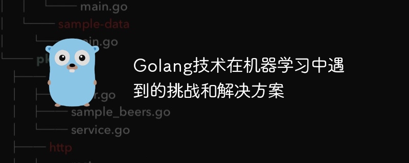 Golang技术在机器学习中遇到的挑战和解决方案-第1张图片-海印网