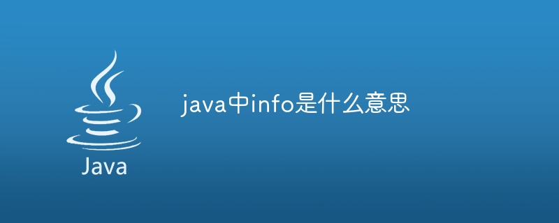 java中info是什么意思-第1张图片-海印网