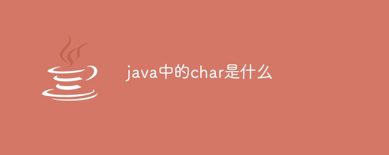 java中的char是什么-第1张图片-海印网