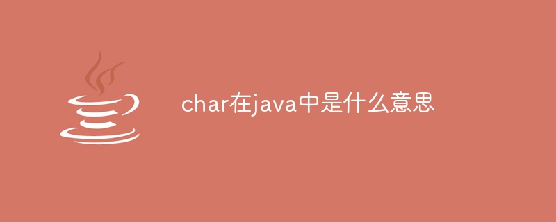 char在java中是什么意思-第1张图片-海印网