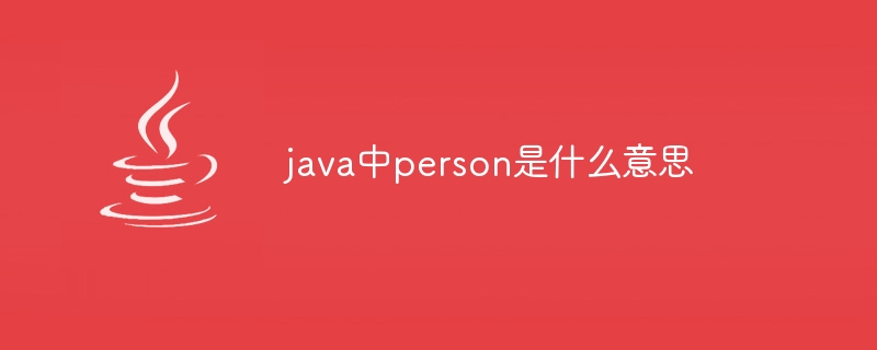 java中person是什么意思-第1张图片-海印网