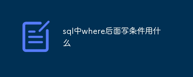 sql中where后面写条件用什么-第1张图片-海印网