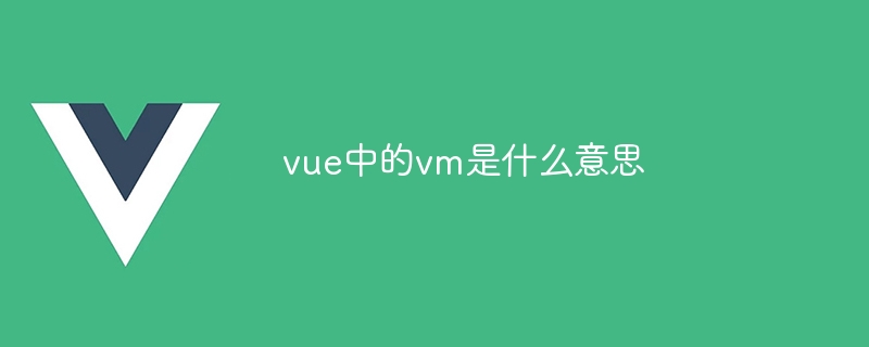 vue中的vm是什么意思-第1张图片-海印网