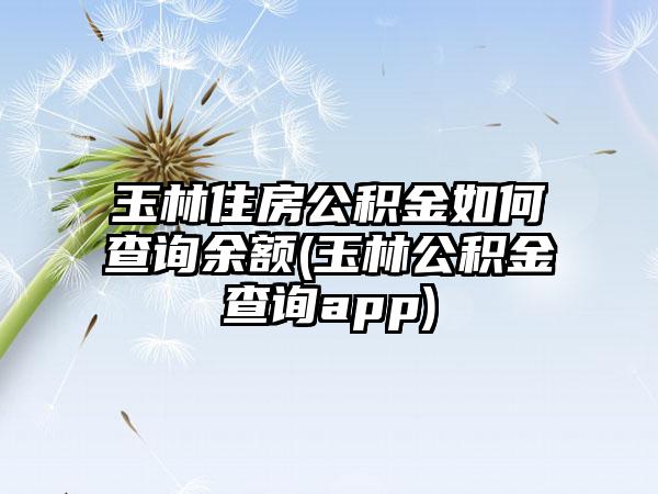 玉林住房公积金如何查询余额(玉林公积金查询app)-第1张图片-海印网