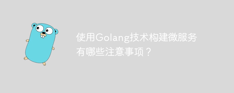 使用Golang技术构建微服务有哪些注意事项？-第1张图片-海印网