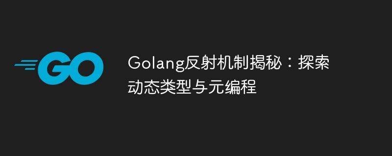 Golang反射机制揭秘：探索动态类型与元编程-第1张图片-海印网