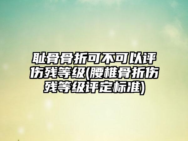 耻骨骨折可不可以评伤残等级(腰椎骨折伤残等级评定标准)-第1张图片-海印网