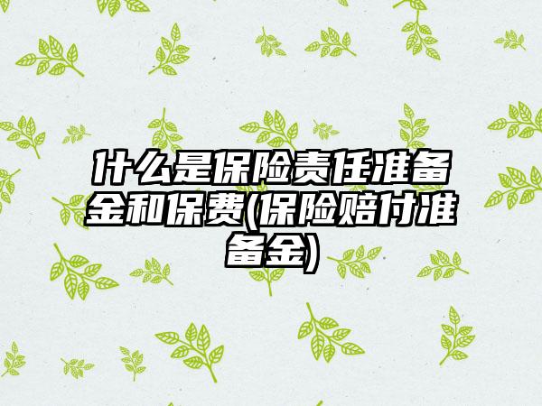 什么是保险责任准备金和保费(保险赔付准备金)