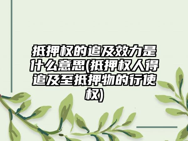 抵押权的追及效力是什么意思(抵押权人得追及至抵押物的行使权)-第1张图片-海印网