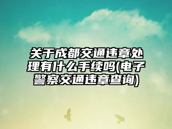 关于成都交通违章处理有什么手续吗(电子警察交通违章查询)-第1张图片-海印网