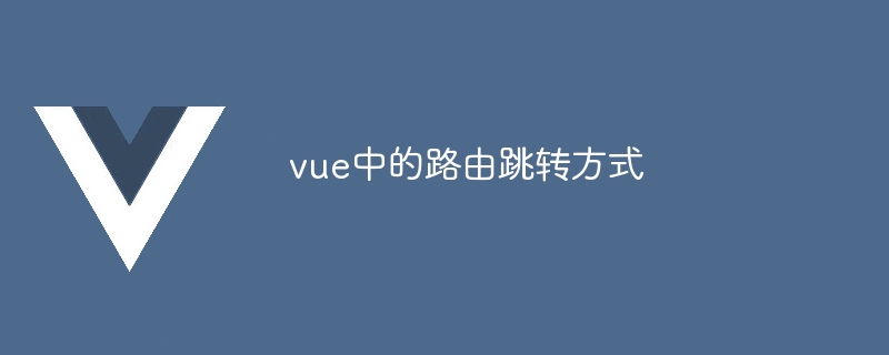 vue中的路由跳转方式-第1张图片-海印网