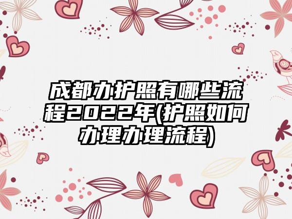 成都办护照有哪些流程2022年(护照如何办理办理流程)-第1张图片-海印网