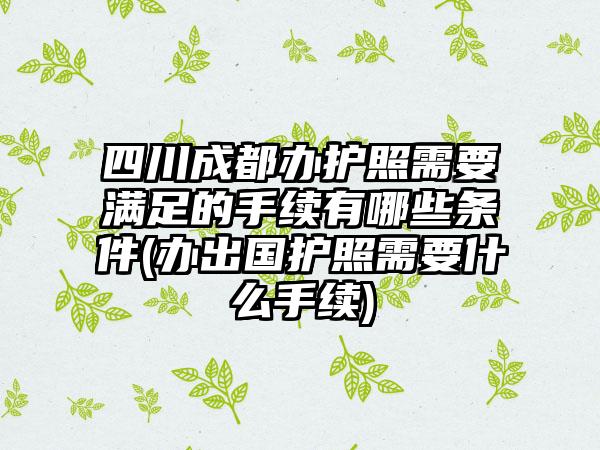 四川成都办护照需要满足的手续有哪些条件(办出国护照需要什么手续)-第1张图片-海印网