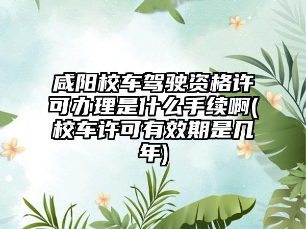 咸阳校车驾驶资格许可办理是什么手续啊(校车许可有效期是几年)-第1张图片-海印网