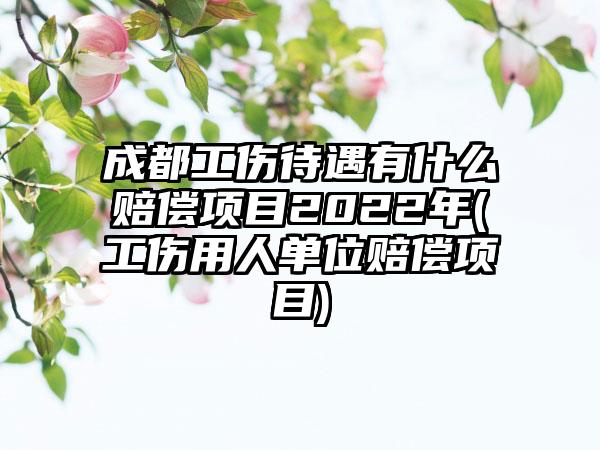 成都工伤待遇有什么赔偿项目2022年(工伤用人单位赔偿项目)