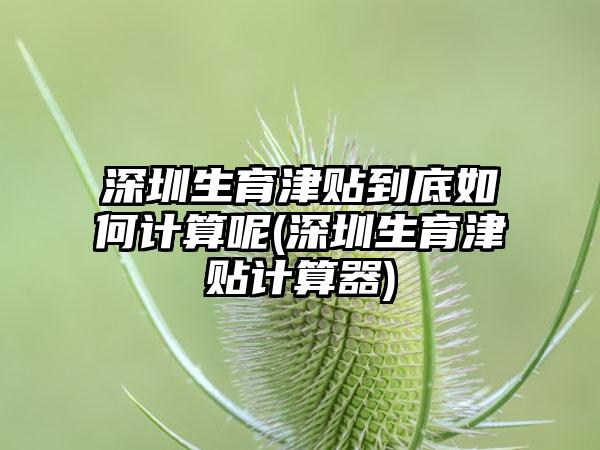 深圳生育津贴到底如何计算呢(深圳生育津贴计算器)