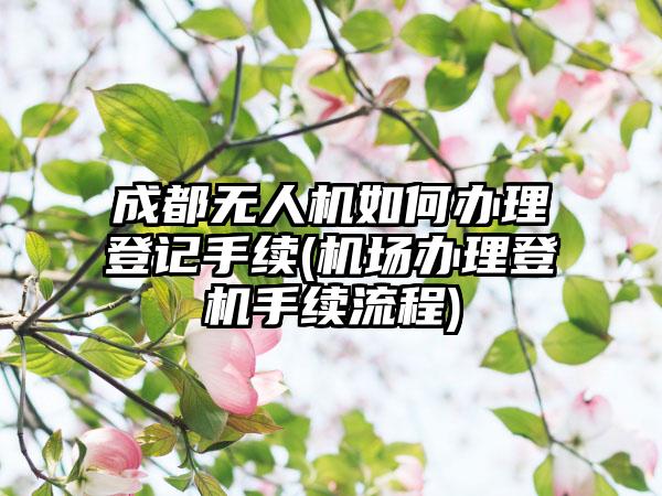 成都无人机如何办理登记手续(机场办理登机手续流程)-第1张图片-海印网